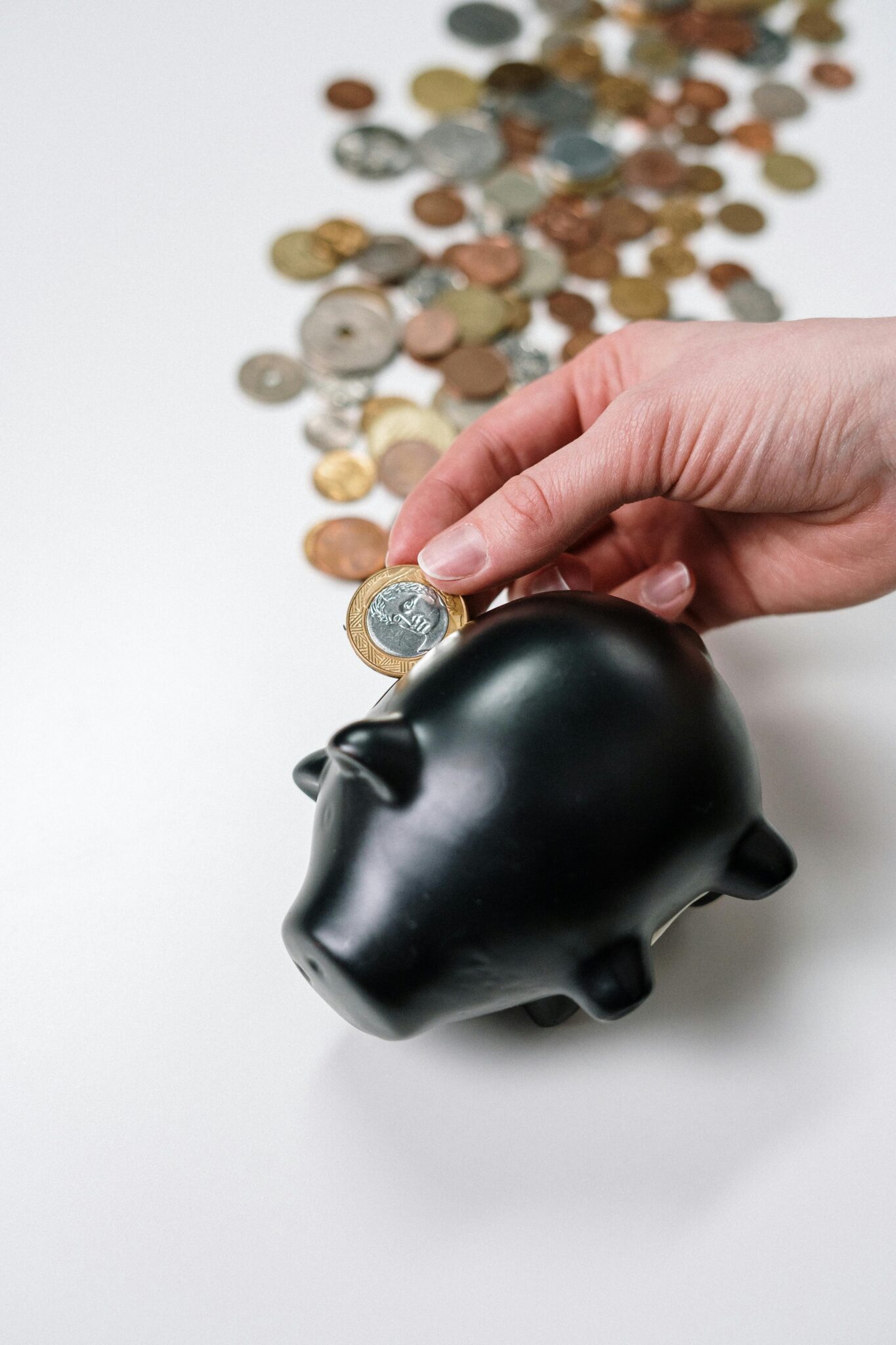 Business légal est le site de référence pour trouver des idées pour gagner de l’argent légalement et sereinement selon vos besoins et affinités