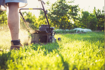 Transformez votre jardin en revenu : découvrez comment louer votre espace extérieur pour jardiner, organiser des événements ou prêter du matériel.