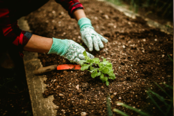 Transformez votre jardin en revenu : découvrez comment louer votre espace extérieur pour jardiner, organiser des événements ou prêter du matériel.